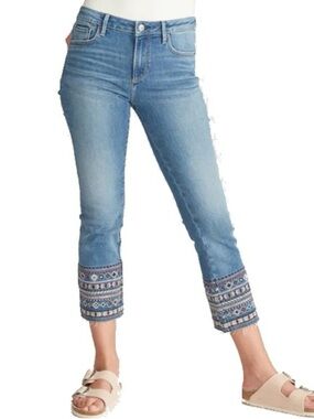 Driftwood Colette Cropped Embroidered Geometric Striped Raw Hem Blue Jeans 32